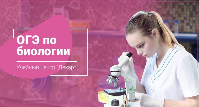 Курсы подготовки к OГЭ по Биологии в Железнодорожном